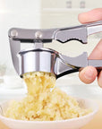 Stainless Steel Garlic Press Crusher