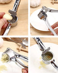 Stainless Steel Garlic Press Crusher