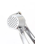 Stainless Steel Garlic Press Crusher